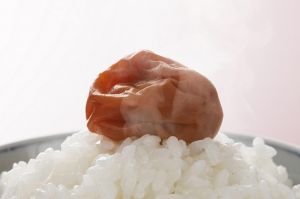 記事17330/画像509411