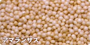記事21159/画像665348