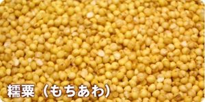 記事21159/画像665453