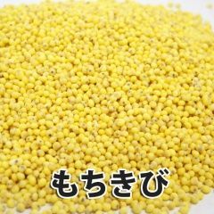 記事21159/画像665586