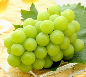3 ページ目 たくさんあるぶどうの種類 この中のいくつ知っていますか 3 ページ目 たくさんあるぶどうの種類 この中のいくつ知っていますか